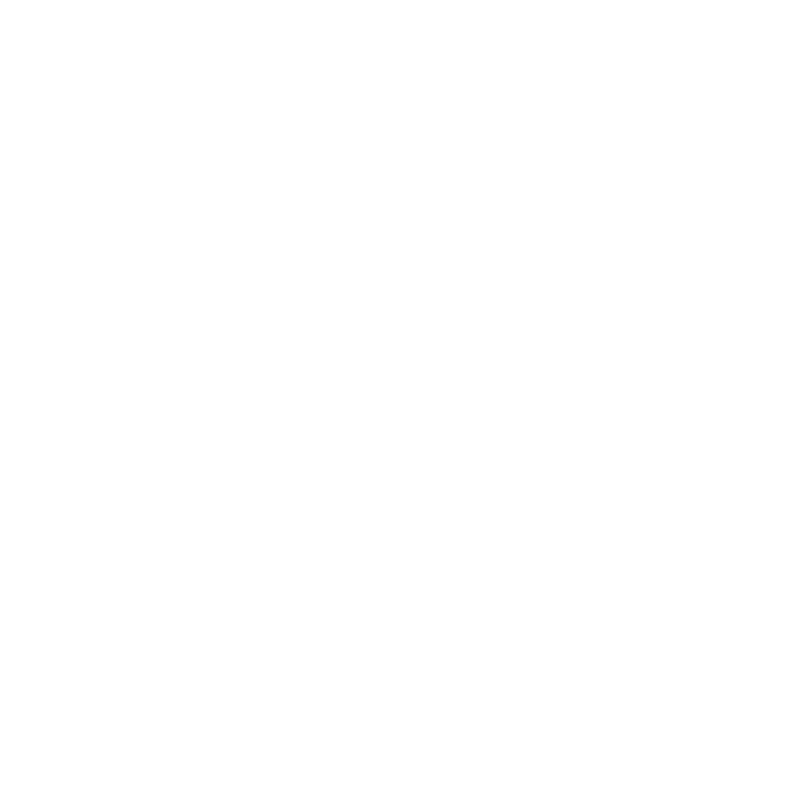 The Zay Project logo around a crown