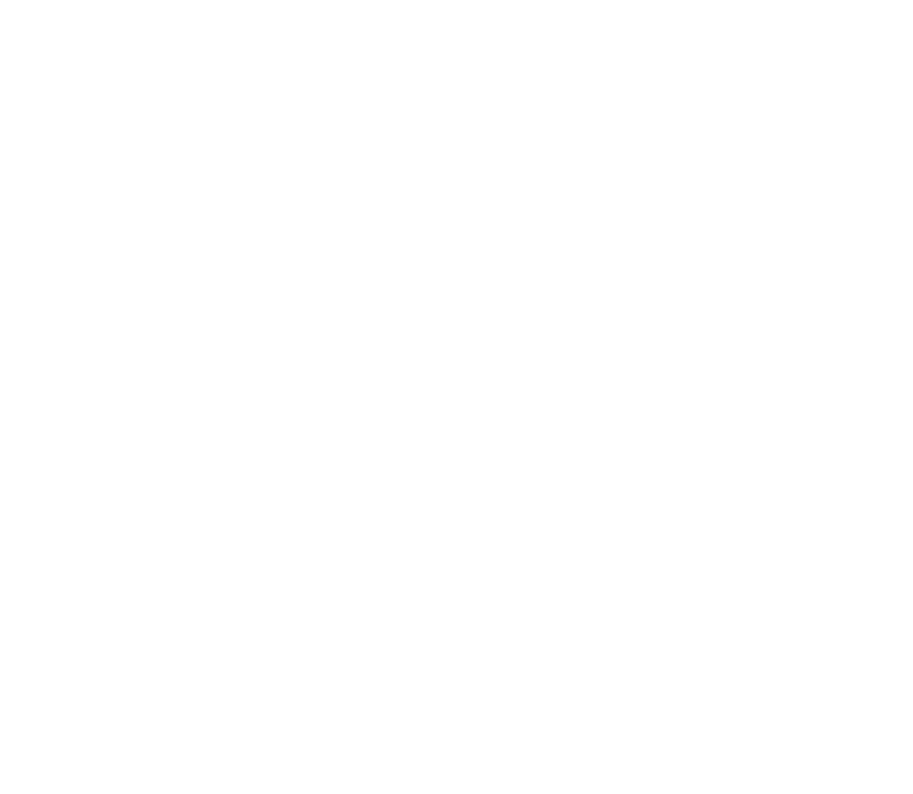 Bad Birdie x Four Peaks