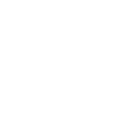 New Level Gold Co