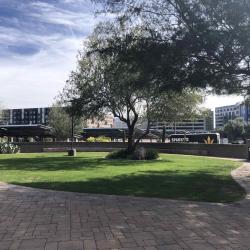 Shaded event space in Tempe, Arizona
