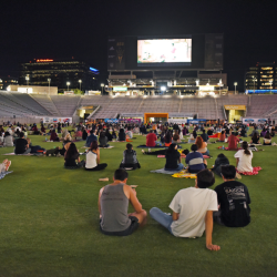 Movies on the Field