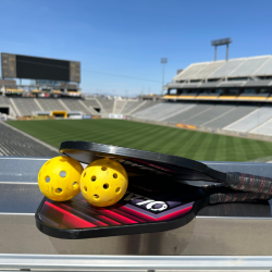 Sparky's Pickleball Showdown