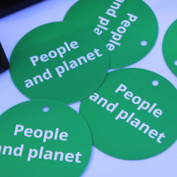 IKEA's sustainability practice