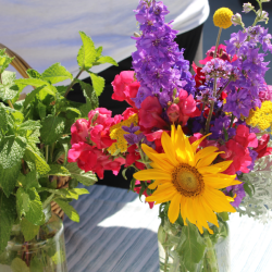 Fresh flowers and herbs to take home