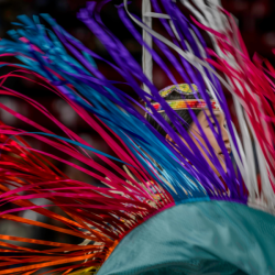Pow Wow performer in various colors. Photo by Tim H. Murphy.
